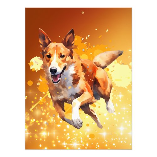 Smooth Collie Running Agility Sports  Photo Print