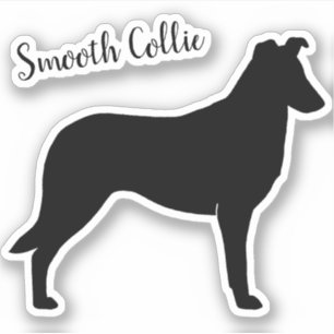 Smooth Collie Silhouette Dog Breed Vinyl Sticker