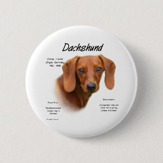 Smooth Dachshund Meet the Breed - Button
