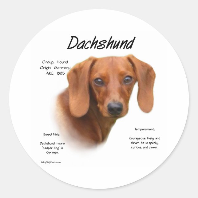 Smooth Dachshund Meet the Breed - Customized Classic Round Sticker (Front)