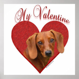 Smooth Dachshund My Valentine Poster