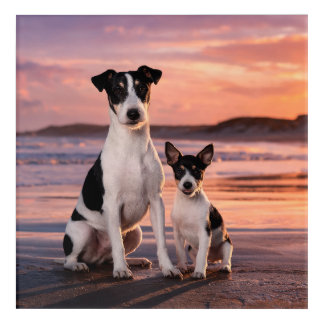 Smooth Fox Terrier & Puppy Acrylic Print