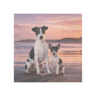 Smooth Fox Terrier & Puppy Gallery Wrap