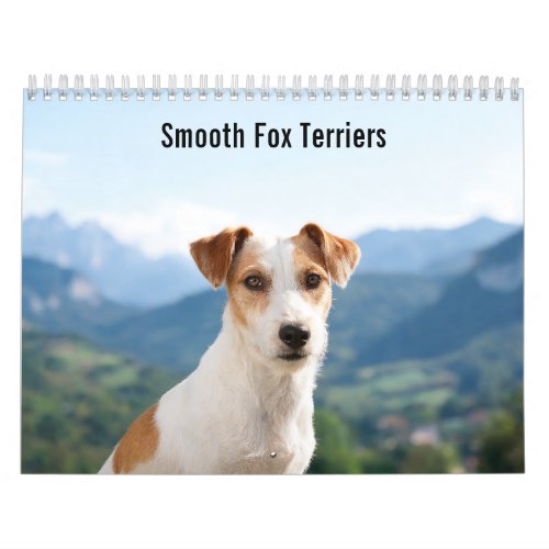 Smooth Fox Terriers 2027 Wall Calendar