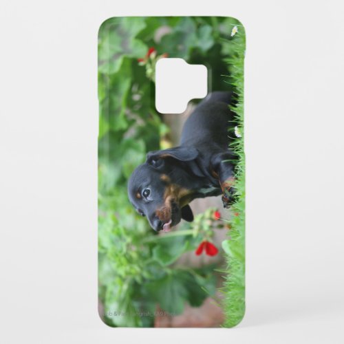 Smooth_haired Miniature Dachshund 1 Case_Mate Samsung Galaxy S9 Case