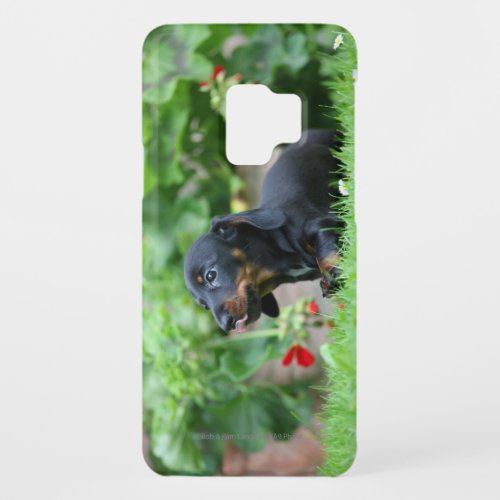 Smooth_haired Miniature Dachshund 1 Case_Mate Samsung Galaxy S9 Case