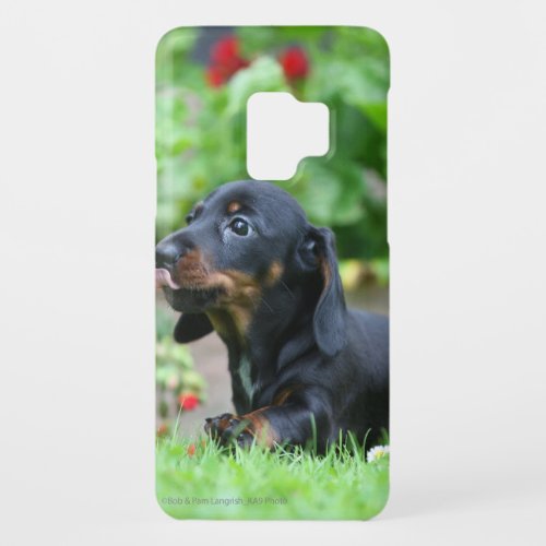 Smooth_haired Miniature Dachshund 1 Case_Mate Samsung Galaxy S9 Case