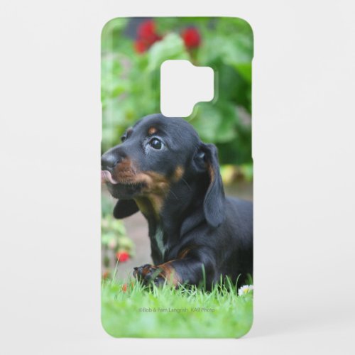 Smooth_haired Miniature Dachshund 1 Case_Mate Samsung Galaxy S9 Case