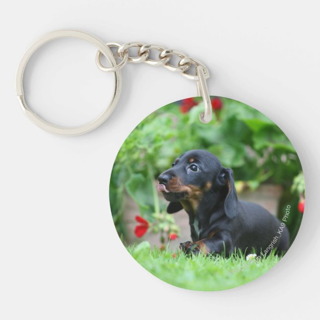 Smooth-haired Miniature Dachshund 1 Keychain (Front)