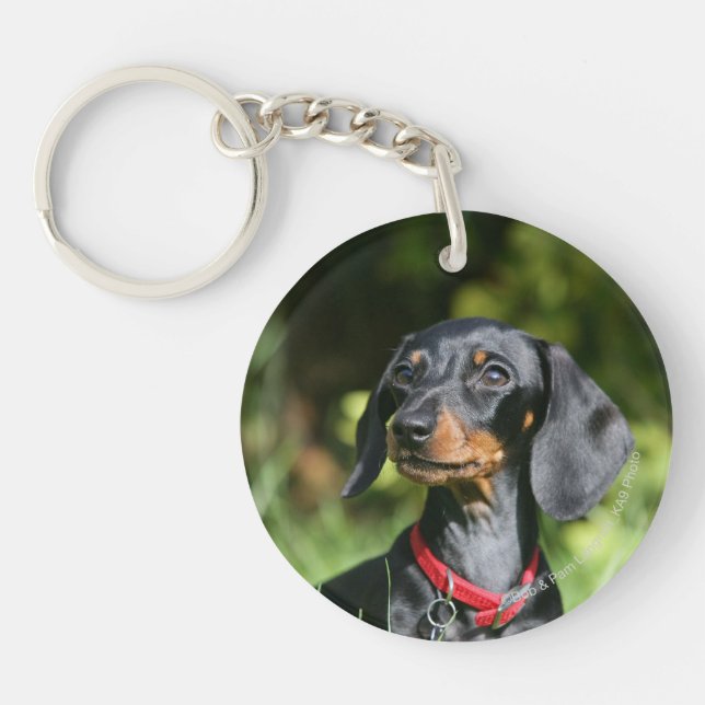 Smooth-haired Miniature Dachshund 3 Keychain (Front)