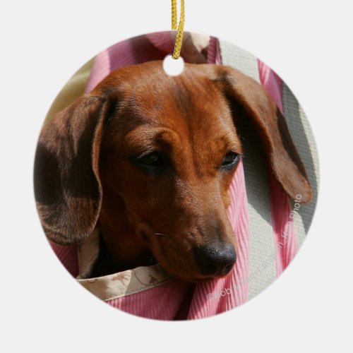 Smooth_haired Miniature Dachshund Puppy Ceramic Ornament