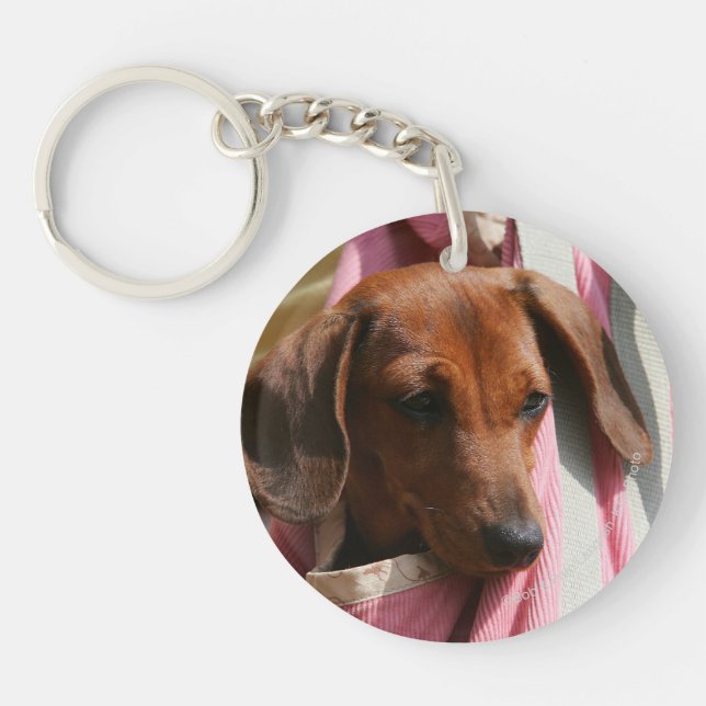 Smooth-haired Miniature Dachshund Puppy Keychain (Front)