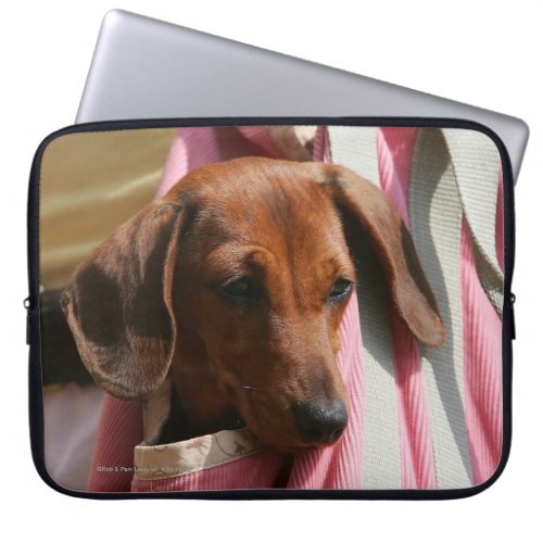 Smooth_haired Miniature Dachshund Puppy Laptop Sleeve