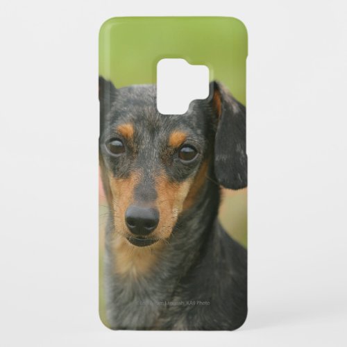 Smooth_haired Miniature Dachshund Puppy Looking at Case_Mate Samsung Galaxy S9 Case