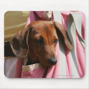 Smooth-haired Miniature Dachshund Puppy Mouse Pad