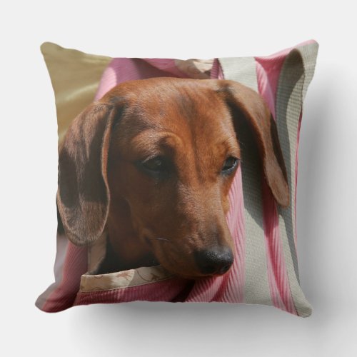 Smooth_haired Miniature Dachshund Puppy Throw Pillow