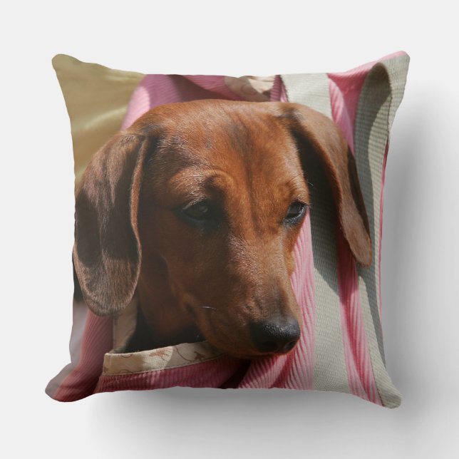 Smooth-haired Miniature Dachshund Puppy Throw Pillow (Front)