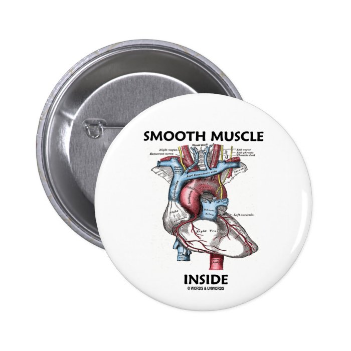 Smooth Muscle Inside (Gray's Anatomy Heart) Pins