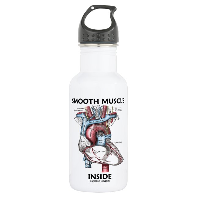 Smooth Muscle Inside (Gray's Anatomy Heart) Stainless Steel Water Bottle (Front)