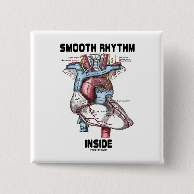 Smooth Rhythm Inside (Medical Anatomical Heart) Pinback Button (Front)
