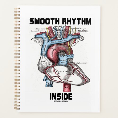 Smooth Rhythm Inside Medical Anatomical Heart Planner