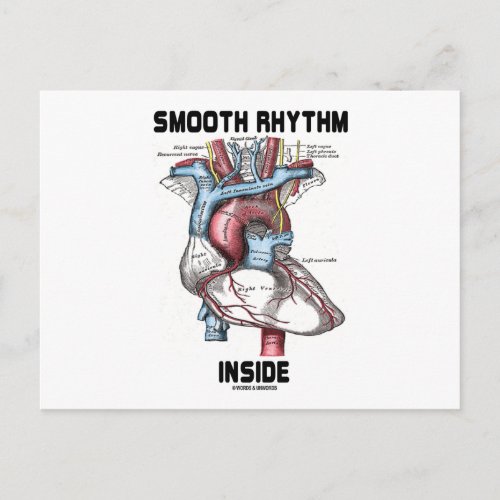 Smooth Rhythm Inside Medical Anatomical Heart Postcard