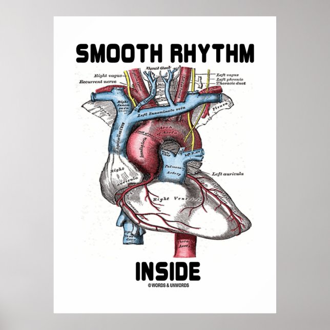 Smooth Rhythm Inside (Medical Anatomical Heart) Poster (Front)