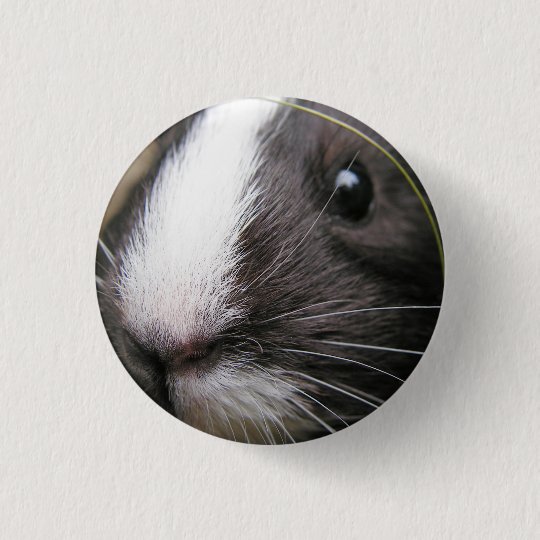 Smooth Short Hair Black And White Guinea Pig Button Zazzle Com