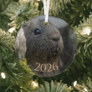 Smooth, Shorthair, Lemon Agouti Guinea Pig in Rock Glass Ornament