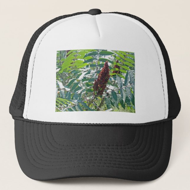 Smooth Sumac Berries Matching Items Trucker Hat (Front)