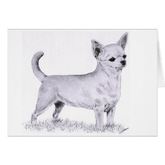 Smoothcoat chihuahua - standing cards