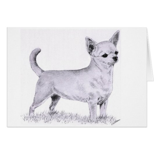 Smoothcoat chihuahua - standing cards (Front Horizontal)