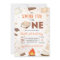 S'more Fun To Be One Smores Campfire Birthday
