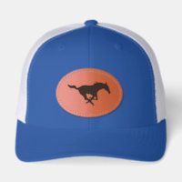 SMU Mustangs