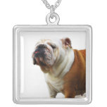 Smug Bulldog Necklace
