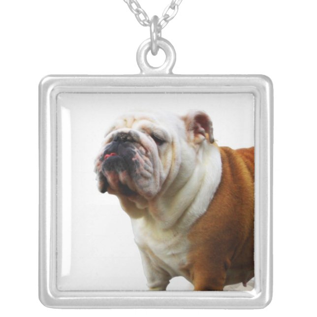 Smug Bulldog Necklace (Front)
