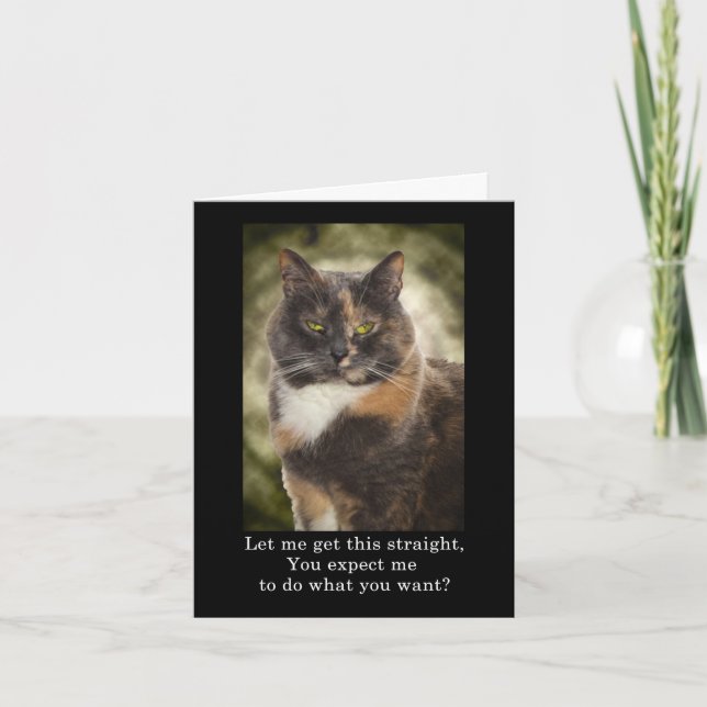 Smug Kitty - Do What You Want? Card (Front)