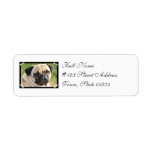 Smug Pug Mailing Labels