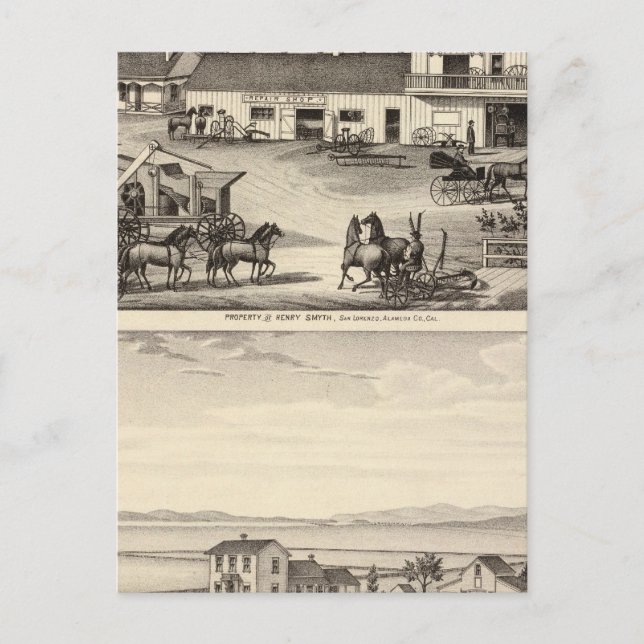 Smyth, Adams properties Postcard (Front)