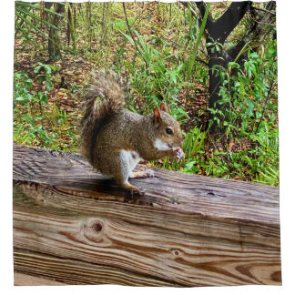 Snack Attack, A Squirrel Living His Best Life Shower Curtain