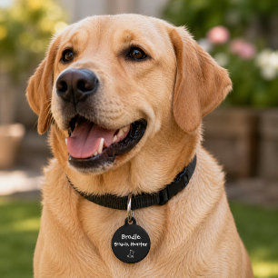 Snack Hunter – Custom Pet ID Tag