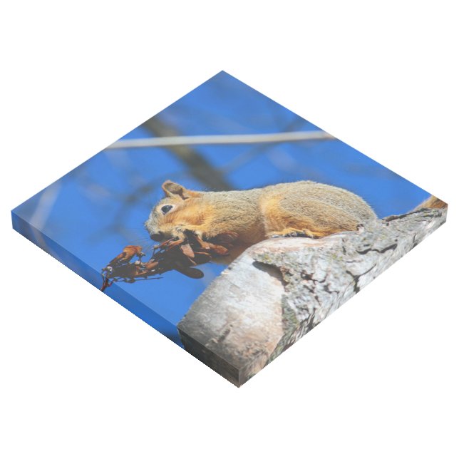 Snack time gallery wrap (3/4)