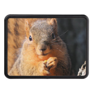 Snack time hitch cover
