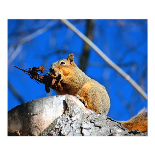 Snack time photo print (Front)