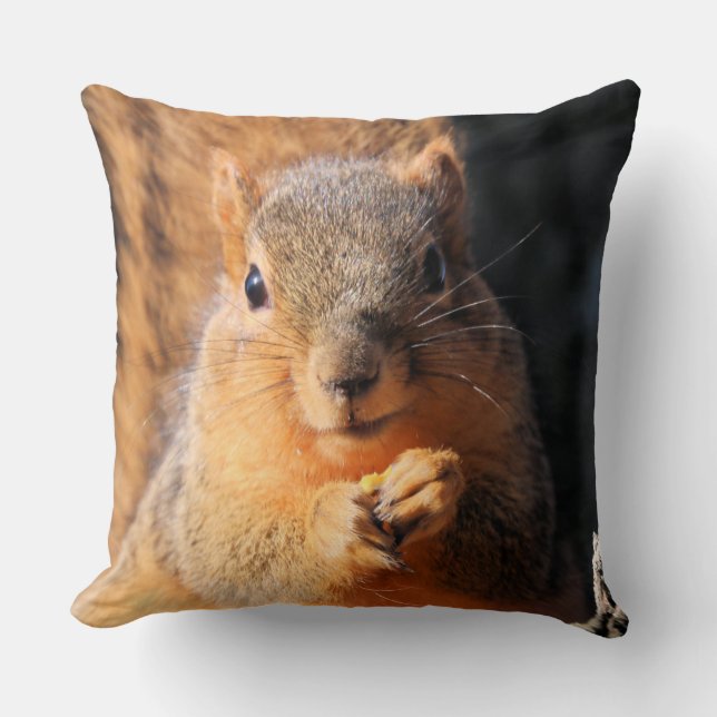 Snack time throw pillow (Front)