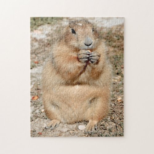 Snacking Prairie Dog Puzzle