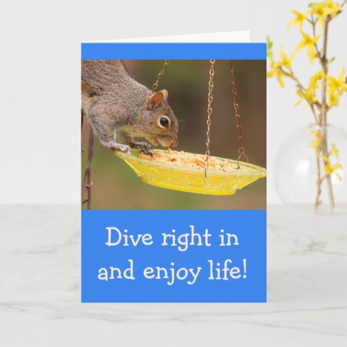 Snacking Squirrel Birthday Card