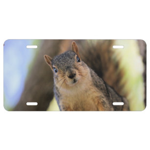 Snacks! I love Snacks! License Plate