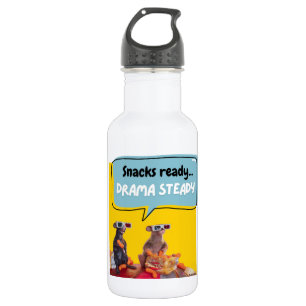 Snacks Ready, Drama Steady Stainless Steel Water Bottle