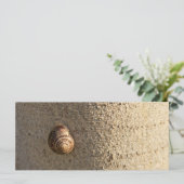 Snail (Standing Front)